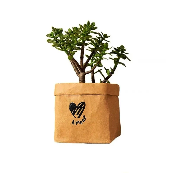 Sac de rangement en papier kraft lavable avec impression